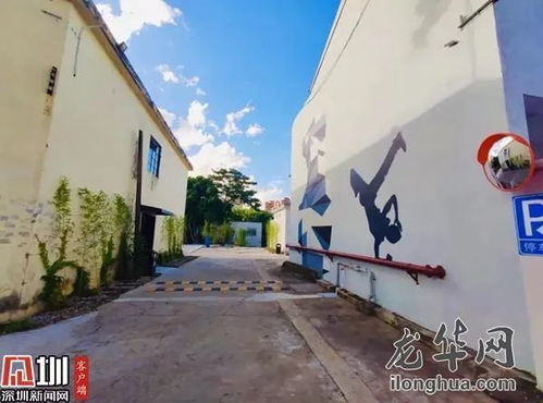 精进业务基石 现代网站建设的关键要素与实施策略