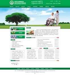 专业企业展示型网站建设，打造北京企业的数字名片